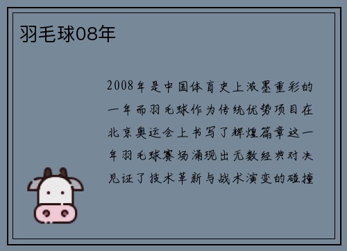 羽毛球08年