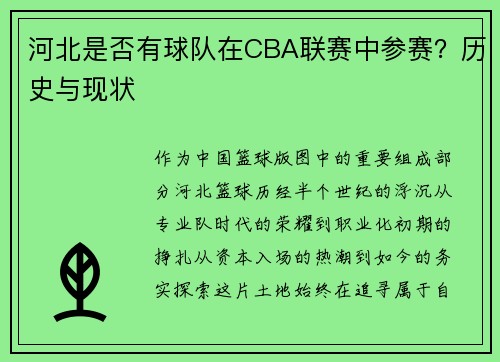 河北是否有球队在CBA联赛中参赛？历史与现状