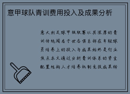 意甲球队青训费用投入及成果分析